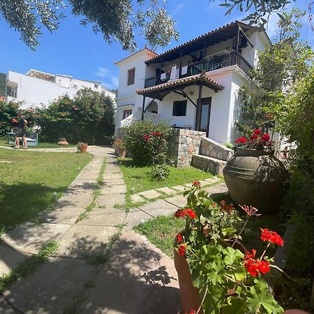 Apartament Eleni Del Sol Skopelos Zewnętrze zdjęcie